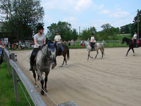 Parsival bei einer Reitvorfhrung